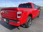 2023 F-150 Thumbnail 5