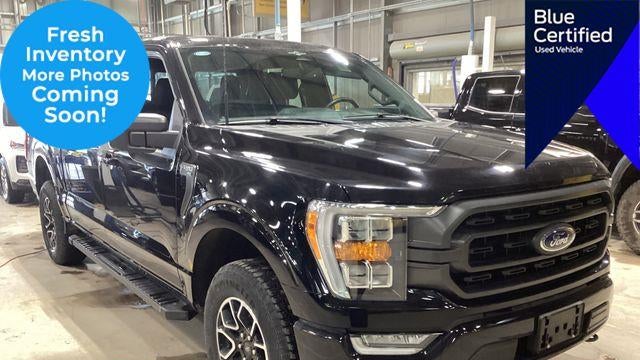 Preowned 2023 Ford F-150 Lariat for Sale