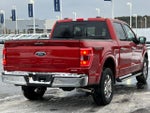2023 F-150 Thumbnail 13
