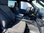 2023 F-150 Thumbnail 12