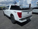 2023 F-150 Thumbnail 5