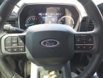 2023 F-150 Thumbnail 15