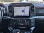 2023 F-150 Thumbnail 13