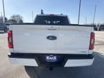 2023 F-150 Thumbnail 6