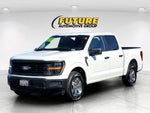 2025 F-150 Thumbnail 8