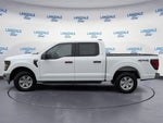 2024 F-150 Thumbnail 10