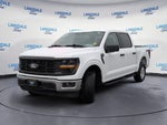 2024 F-150 Thumbnail 11
