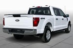 2025 F-150 Thumbnail 10
