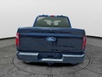 2024 F-150 Thumbnail 5
