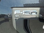 2024 F-150 Thumbnail 7