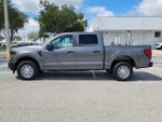 2025 F-150 Thumbnail 6