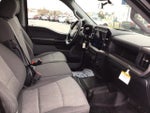 2024 F-150 Thumbnail 8