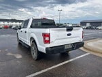 2020 F-150 Thumbnail 12