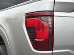 2024 F-150 Thumbnail 8