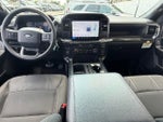 2024 F-150 Thumbnail 11