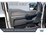 2024 F-150 Thumbnail 18