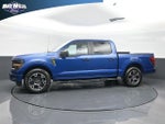 2024 F-150 Thumbnail 4