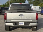2024 F-150 Thumbnail 5