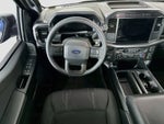 2024 F-150 Thumbnail 10