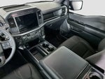 2024 F-150 Thumbnail 11