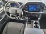 2024 F-150 Thumbnail 20