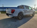 2024 F-150 Thumbnail 6