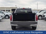 2025 F-150 Thumbnail 13