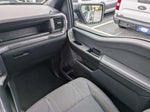 2025 F-150 Thumbnail 17