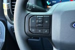 2025 F-150 Thumbnail 18