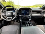 2025 F-150 Thumbnail 15