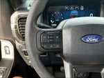 2025 F-150 Thumbnail 18