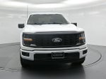 2024 F-150 Thumbnail 20