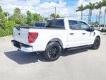2024 F-150 Thumbnail 7