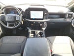 2024 F-150 Thumbnail 14