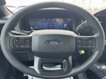 2024 F-150 Thumbnail 10