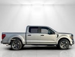 2024 F-150 Thumbnail 2