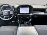 2024 F-150 Thumbnail 13