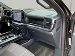 2024 F-150 Thumbnail 16