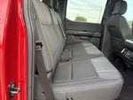 2024 F-150 Thumbnail 18
