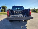 2025 F-150 Thumbnail 12