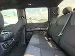 2025 F-150 Thumbnail 9