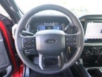 2025 F-150 Thumbnail 17