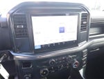 2025 F-150 Thumbnail 19