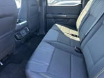 2025 F-150 Thumbnail 12