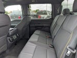 2025 F-150 Thumbnail 17