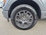2026 F-150 Thumbnail 9
