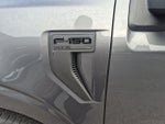 2026 F-150 Thumbnail 8