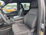 2026 F-150 Thumbnail 12