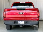 2024 F-150 Thumbnail 4