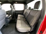 2024 F-150 Thumbnail 24